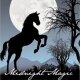 Review: Midnight Magic by Nancy Di Fabbio