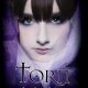 Tween Review: Torn by Erica O’Rourke